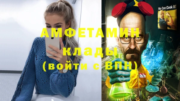 индика Вязьма